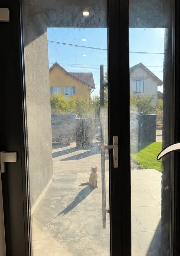 Ușă de sticlă cu urme de ciment, înainte